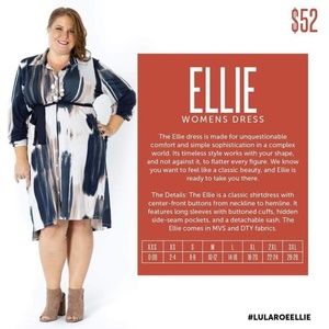 LuLaRoe Ellie Dress Outfit NWT and Leggings`